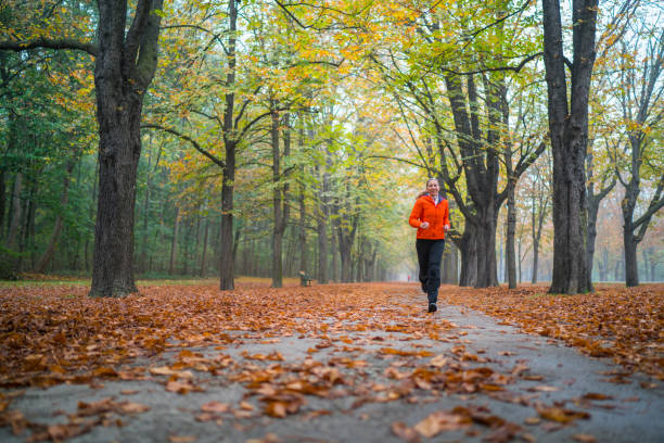woman jogging alone in autumn avenue - prater park imagens e fotografias de stock