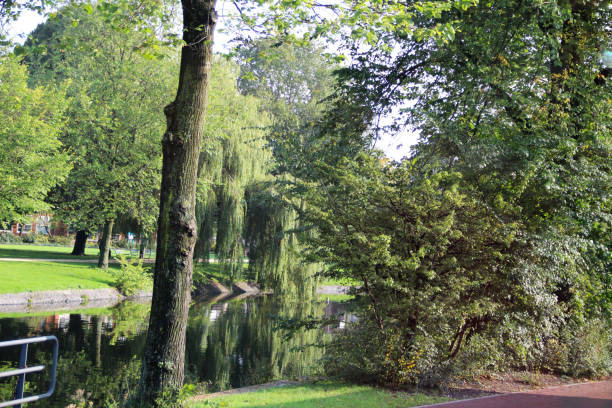 view on a park and the tree area in amsterdam netherlands photographed during a sightseeing tour in the city amsterdam netherlands