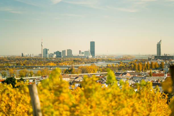 istock skyline of vienna with danube river and yellow vineyards in front blurred 1054967262