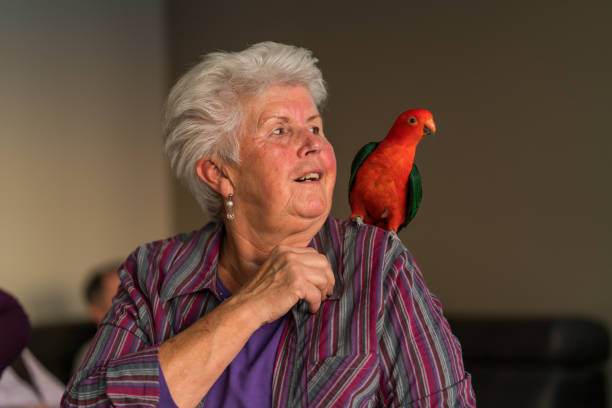istock parrot and senior woman 1054967482