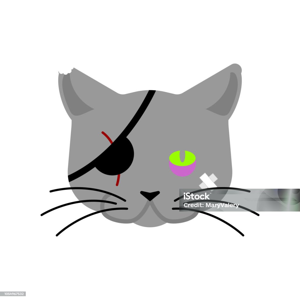 Bad Cat Pirate Eye Patch And Bruise Pet Bully Stock Illustration - Download  Image Now - Animal, Bullying, Close-up - iStock