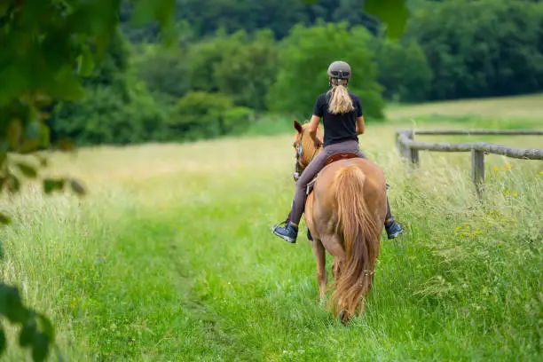 back view of woman riding her chestnut colored horse through high grass