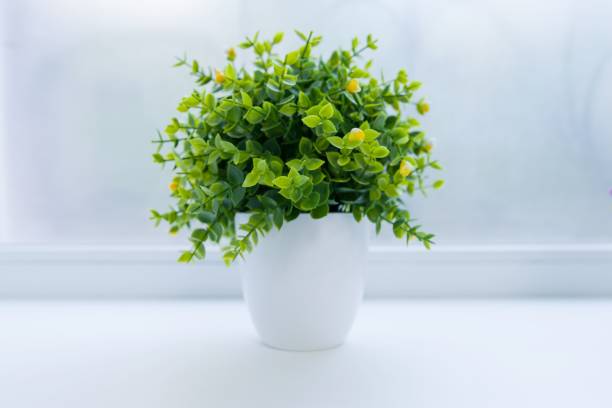istock Green artificial interior plant in white pot on white 1054973216