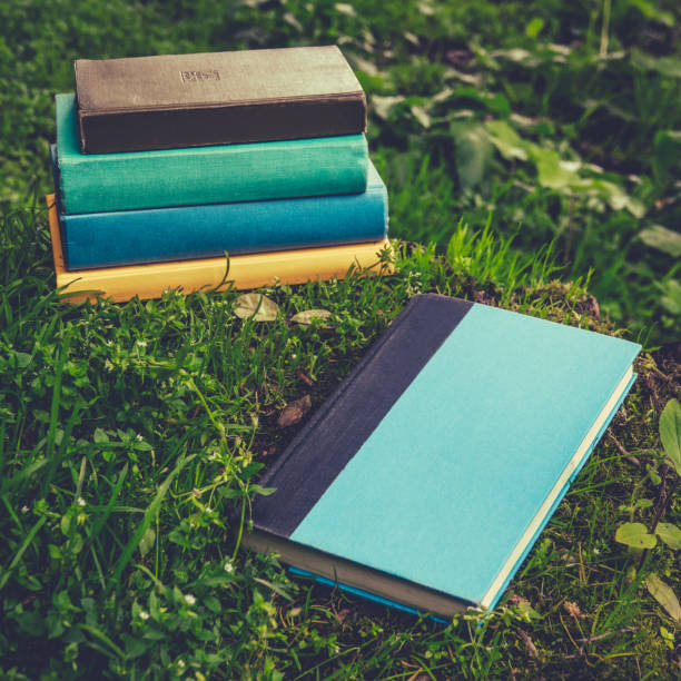 istock Vintage Books in a Garden 1054973970