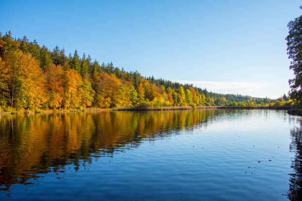 istock Colourful Autumn Forest reflecting in Calm Lake at Dawn 1054976138