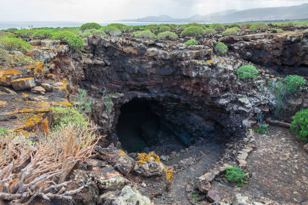 paysage unique de lanzarote avec cave et lave champ couvert par les plantes - lanzarote canary islands volcano green photos et images de collection