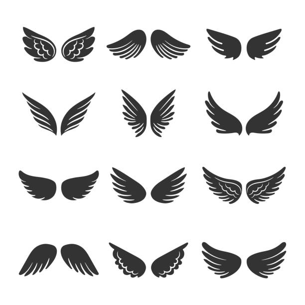 illustrazioni stock, clip art, cartoni animati e icone di tendenza di set di ali di angeli - sillhoutte