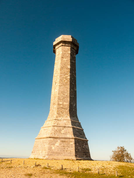 istock hardy monument tall building old special england dorset black down 1054977934