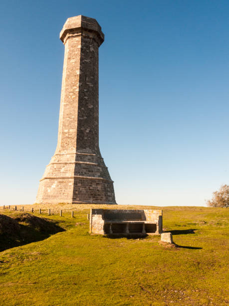 istock hardy monument tall building old special england dorset black down 1054977938