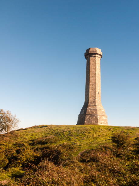 istock hardy monument tall building old special england dorset black down 1054977980