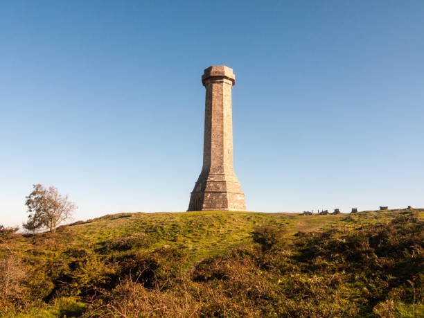 hardy monument tall building old special england dorset black down
