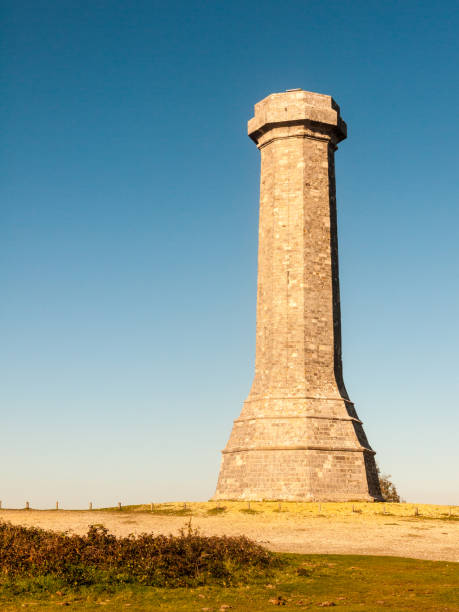 istock hardy monument tall building old special england dorset black down 1054977998