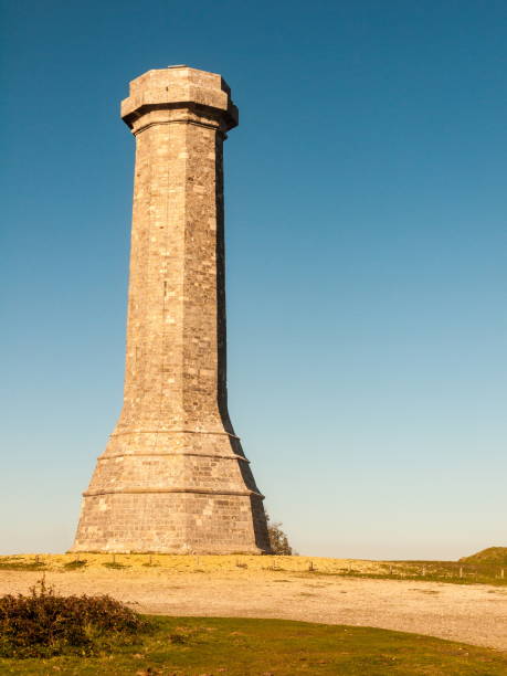 istock hardy monument tall building old special england dorset black down 1054978036