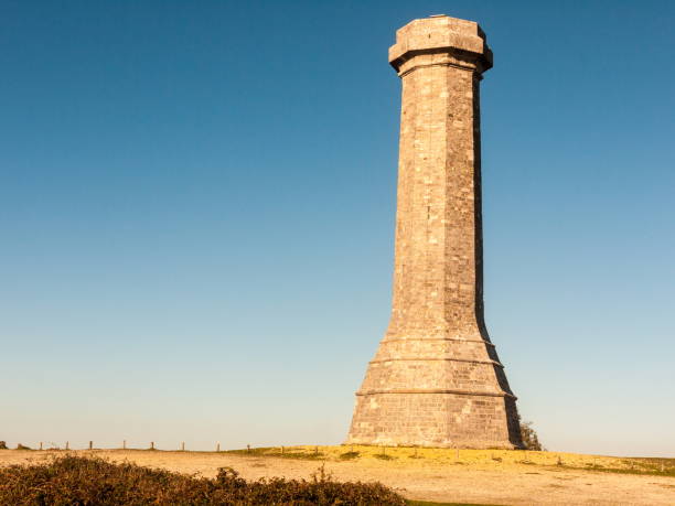 istock hardy monument tall building old special england dorset black down 1054978070