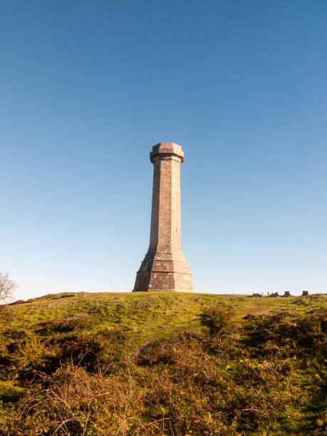 istock hardy monument tall building old special england dorset black down 1054978072