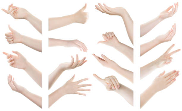 istock Set of female hand gestures isolated on white background 1054980656