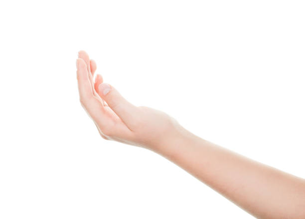 istock Isolated woman hand on white background 1054980694