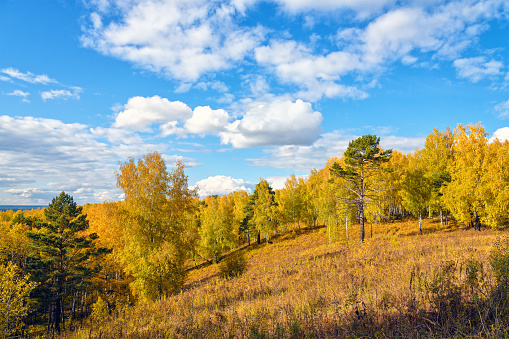 Cerro cubierto de bosque de otoño y cielo azul con nubes blancas en día soleado photo