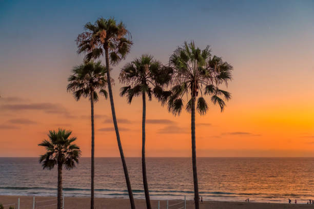 istock Manhattan Beach at sunset, California 1054985216