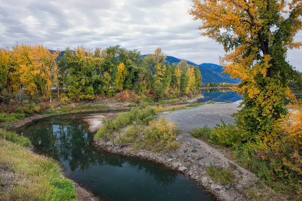 Cтоковое фото Река протекает деревьями осеннего цвета.