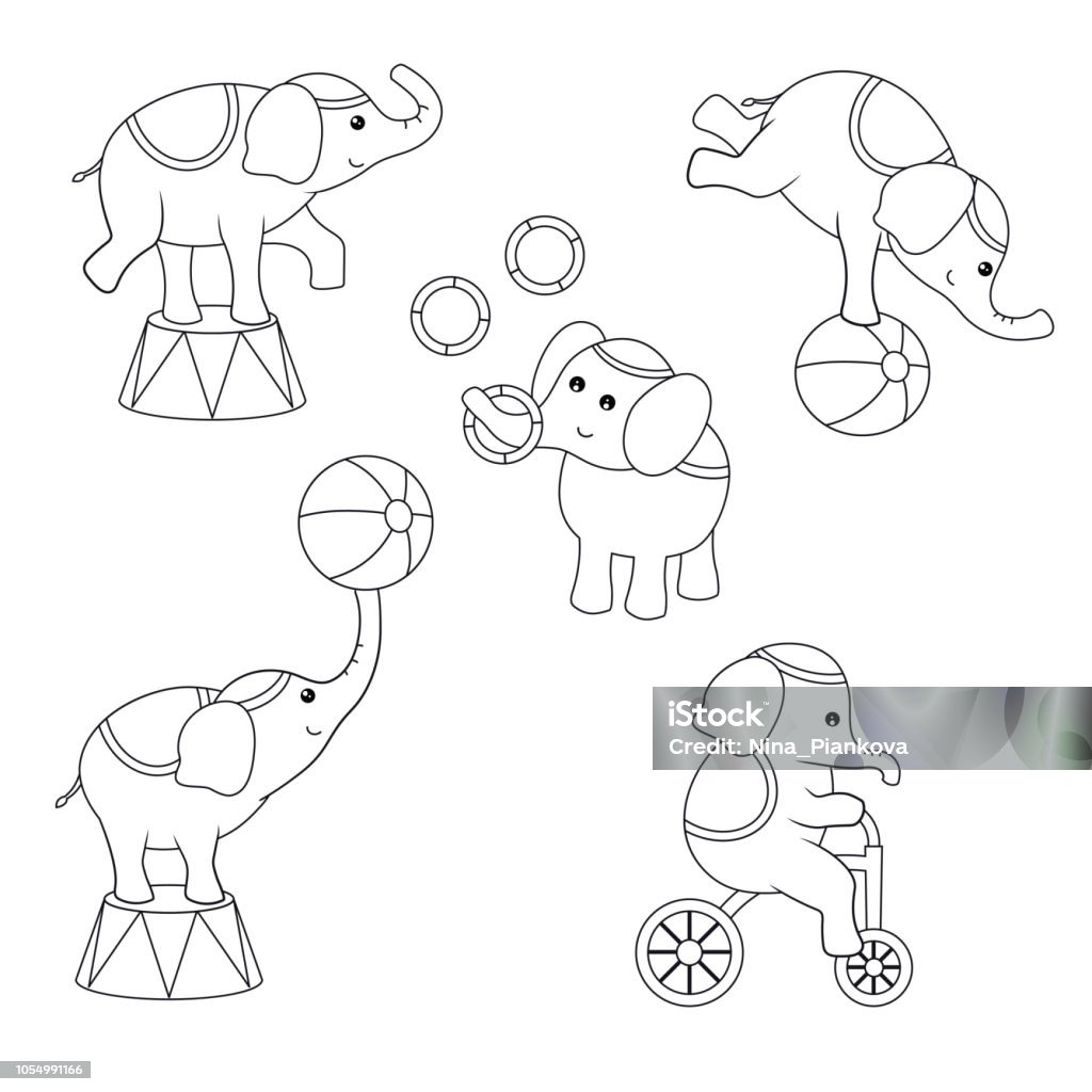 Set Of Circus Animals Stock Illustration - Download Image Now - Elephant,  Sphere, Acrobat - iStock