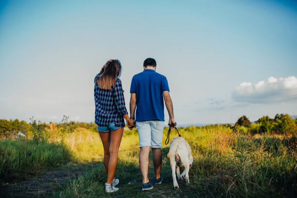 istock Young couple with dog in the park 1054991740