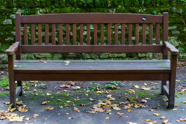 istock Wooden bench in park 1054992060
