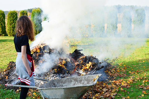 Teen girl standing next to wheelbarrow and campfire flame and smoke with burning dry grass and leaves and in autumn day. Children helping in seasonal garden works and backyard cleaning concept.