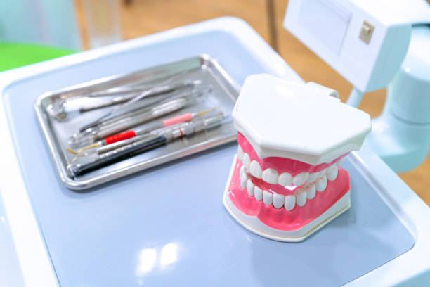 White teeth model and dental instruments on table in Dentist Clinic