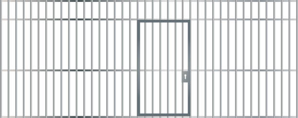 вид спереди баров тюремной камеры с железными прутьями и дверью на изолированном фоне - lawbreaker stock illustrations