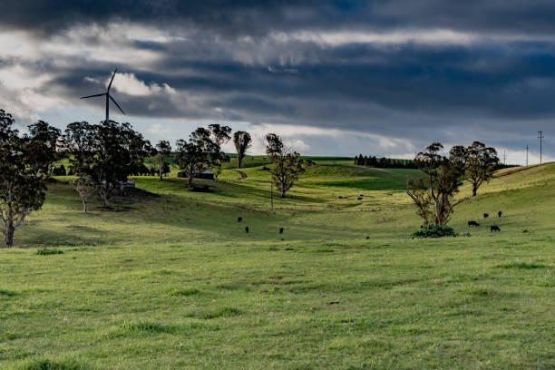 Countryside landscape and wind farm stock photo