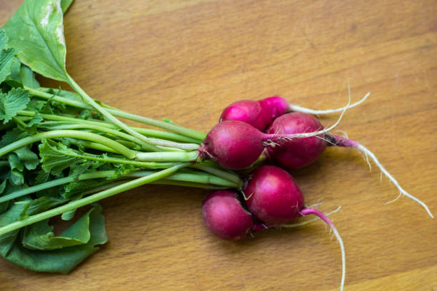 istock bunch of red radish from a garden bed on a rural table 1055003396