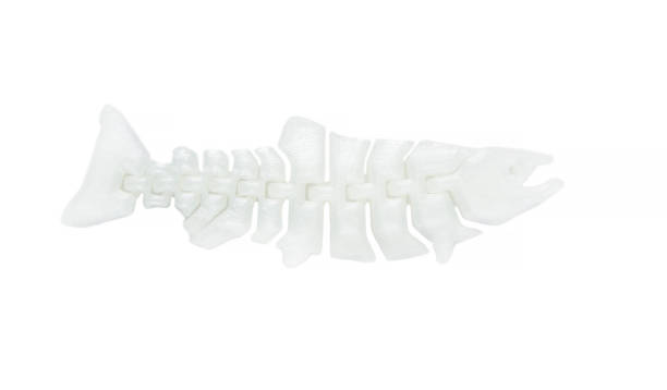 istock Bright light white object in shape of fish toy printed on 3d printer 1055005624