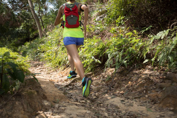 istock Young woman trail runner running on tropical forest trail 1055009440