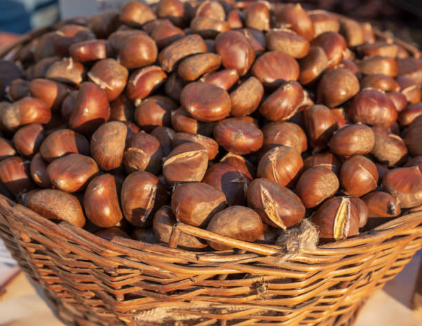 istock Fresh chestnuts in the basket 1055013686