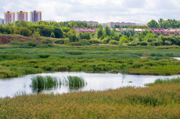 istock Summer landscape. City outskirts, River spills. 1055024420