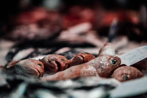 Photo of Raw fish in the ice on the stall of street market