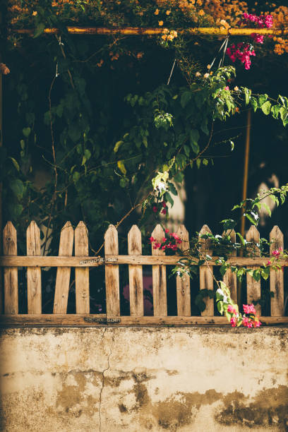 istock Wooden fencing and trees in the courtyard 1055029310