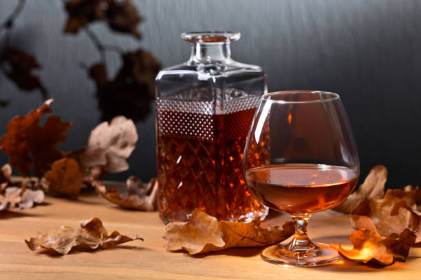 istock Brandy and dried up oak leaves . 1055037468