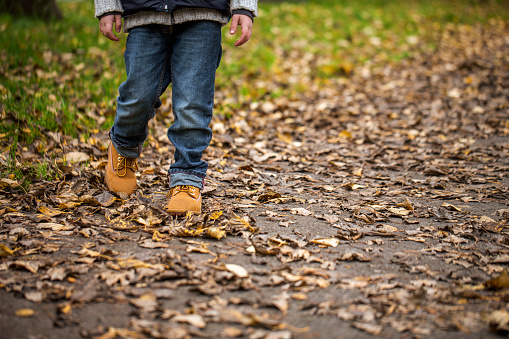 Low section of boy walking on road covered with fallen autumn leaves. Male child is spending leisure time at park. He is wearing blue jeans.