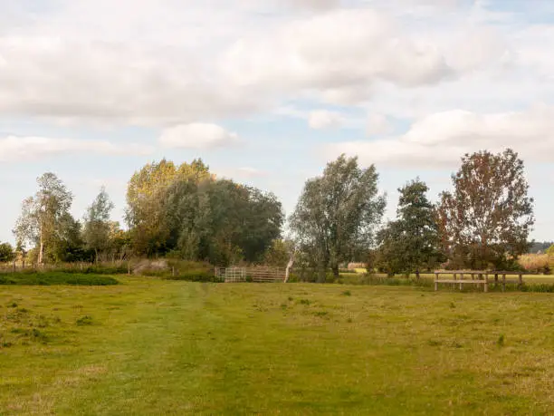 Photo of Dedham summer day special grassland greenery scene landscape nature natural