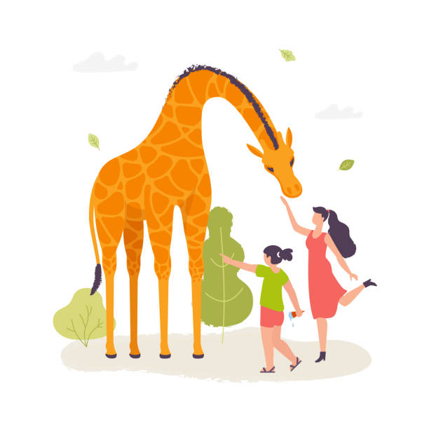 istock Girls in the zoo interacting with the giraffe vector illustration in flat design. Giraffe cartoon character isolated on white background. 1055046992