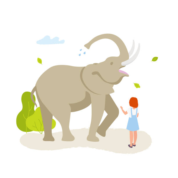 Cute small girl looking at the large elephant in the contact zoo vector flat illustration. African Elephant isolated on white background. Cute small girl looking at the large elephant in the contact zoo vector flat illustration. African Elephant isolated on white background elephant ear plant stock illustrations
