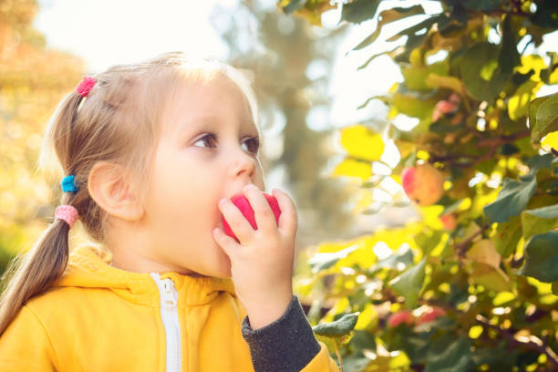 маленькая девочка ребенок ест сезонные яблоки - apple eating little girls green стоковые фото и изображения