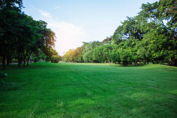 istock lawn in the garden with blue sky. 1055053290