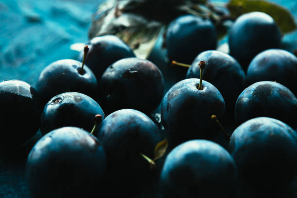 istock many fresh plums on blue background close up 1055056348