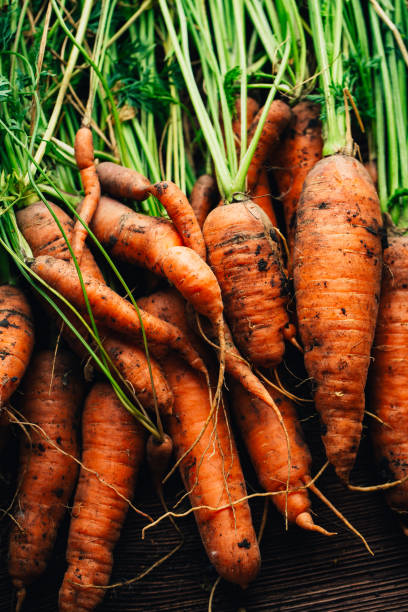 istock Fresh carrots close-up on a wooden background 1055057144