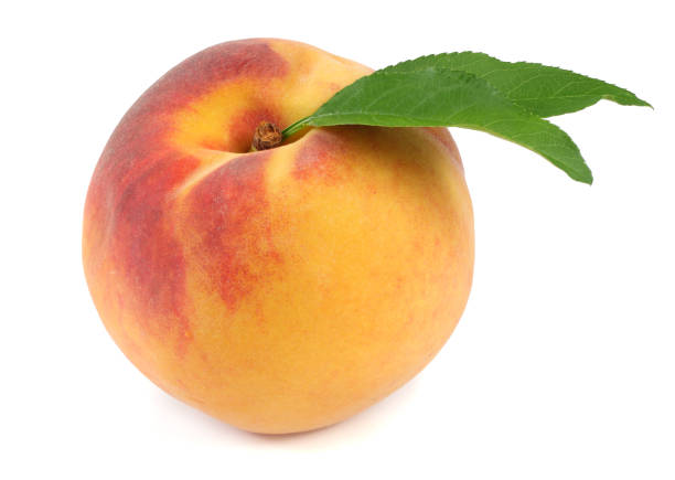 istock peach fruit with green leaf isolated on white background 1055059180