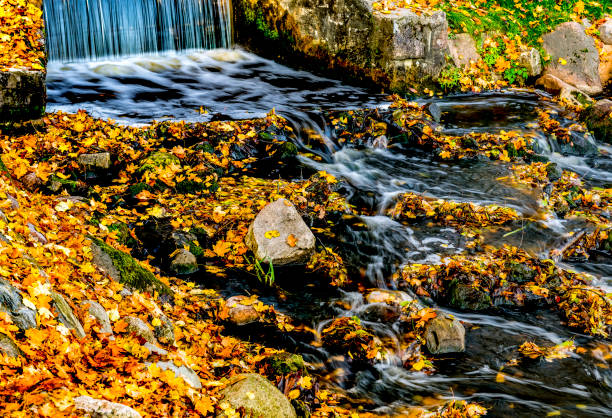 istock Autumn in old public park, Europe 1055061860