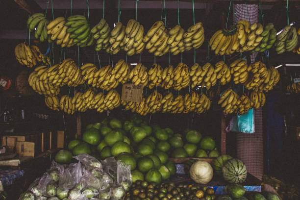 istock Various Fruits At Market for Sale 1055071300